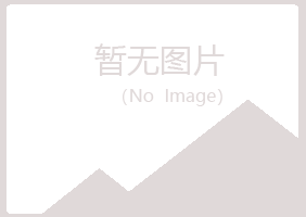 新疆晓夏能源有限公司